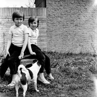 Two boys sitting on suitcase with dog standing nearby.