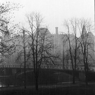 Urban park with bare trees, foggy background, modern building.