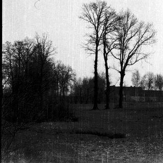 Barren trees over reflective water.