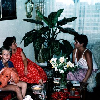 Family indoors with teddy bear, flowers, and city view.