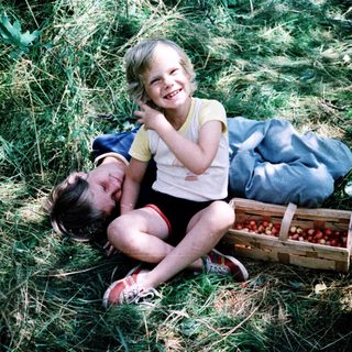 Two people harvesting cherries in a field.