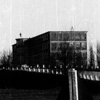 Rainy day with bare trees and modern building in background.
