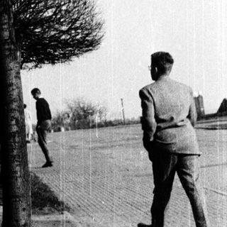 Two people walking in a park with wind-blown trees.