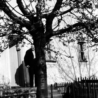 Statue of seated man beneath tree.