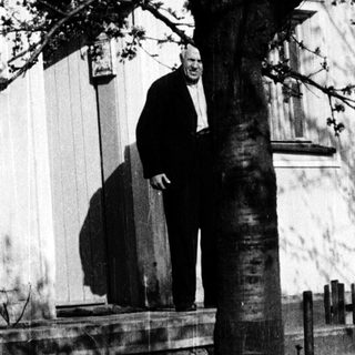 Statue of seated man beneath tree.