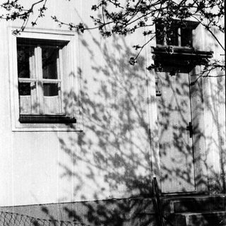 Shadows of tree branches on a house wall.