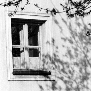 Shadows of tree branches on a house wall.