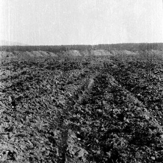 Plowed agricultural field with furrows.