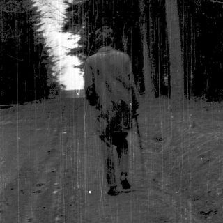 Silhouette of person hiking in rainforest.