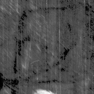 Reflection of trees in wet pavement.