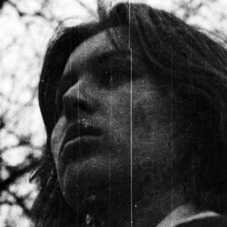 Silhouette of person looking upward in park.