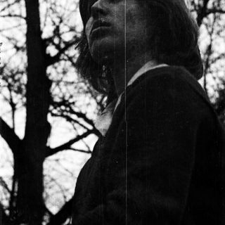 Silhouette of person looking upward in park.