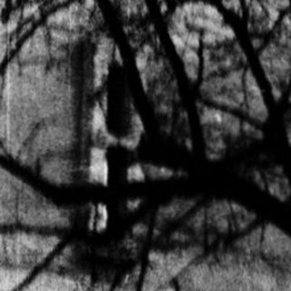 Barren tree branches against urban buildings.