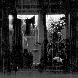 Silhouettes of people on balcony during heavy rain.