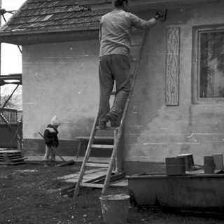 Man painting exterior of house using ladder.
