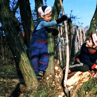 Two people cutting down a tree with axes.