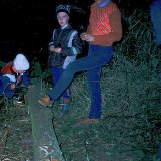 People gathered around a nighttime campfire.