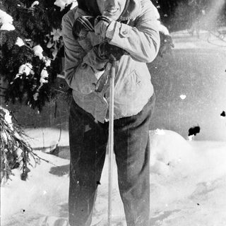 Woman skiing in snowy forest, holding poles.