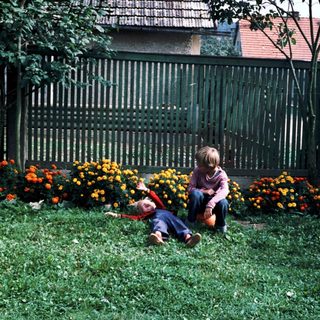 Two children playing in a garden with flowers.