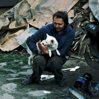 Man with dog inspects severely damaged car.