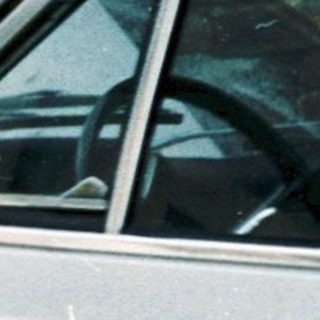 Man with dog inspects severely damaged car.