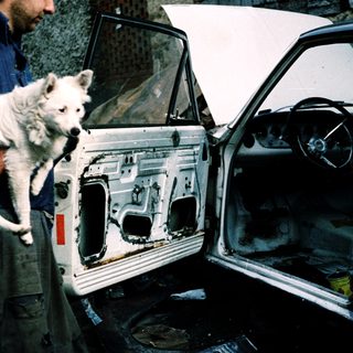Severely damaged car interior with dog inside.