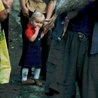 Man holding a live beaver outdoors.