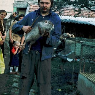 Man holding a live beaver outdoors.