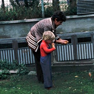 Two people feeding chickens in backyard coop.