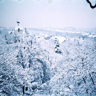 Snow-covered landscape with winter forest and distant town.