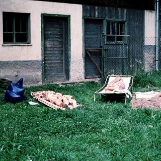 Butchered animal carcasses outside a dilapidated building.