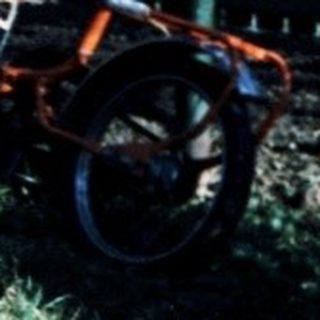 Two children playing with a fallen bicycle in yard.