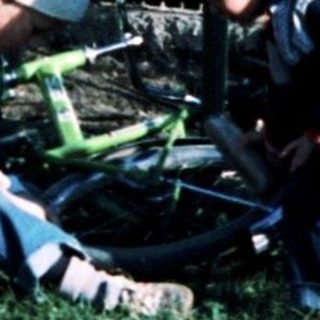 Two children playing with a fallen bicycle in yard.