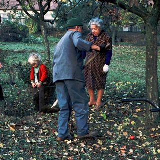 Family members raking autumn leaves in garden.