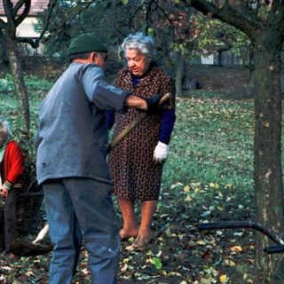Family members raking autumn leaves in garden.