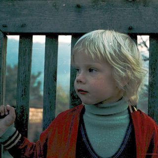 Young child gazing thoughtfully through wooden fence.