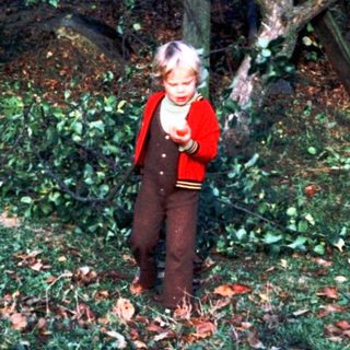 Person standing amid fallen tree branches and leaves.