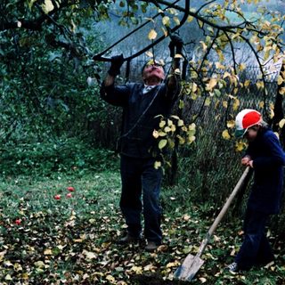 Two people pruning tree branches in autumn.