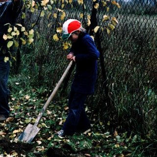 Two people pruning tree branches in autumn.