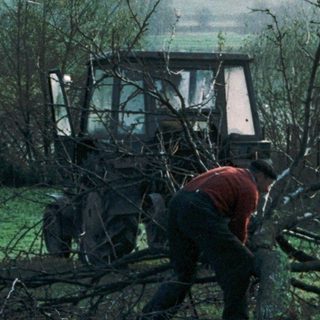 Rural scene: Farmer clearing trees with tractor, dog nearby.