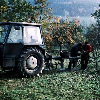 Two workers harvesting fruit with tractor-assisted equipment.