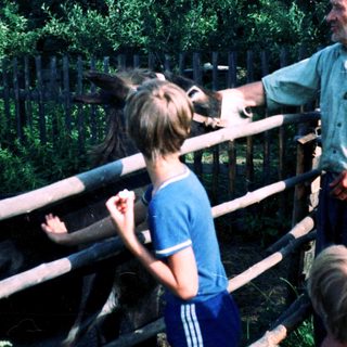 Old man feeding animals with children observing.