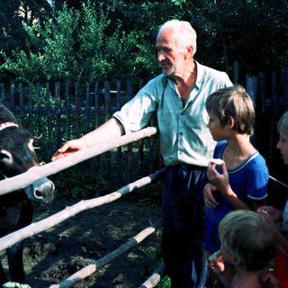 Man feeding cow with children observing.