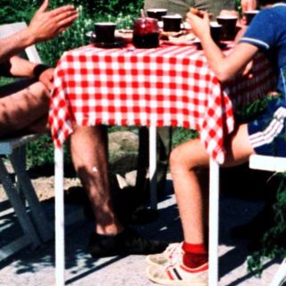 Family picnic outdoors in garden setting.
