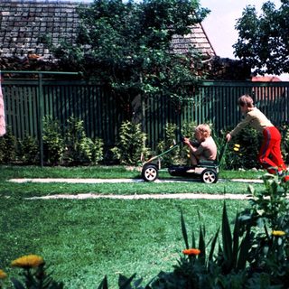 Child riding lawn mower in backyard.