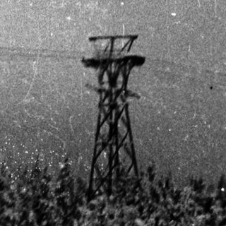 Snow-covered forest with tall observation tower.