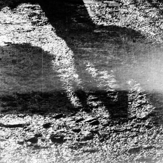 Footprints in wet, reflective pavement.