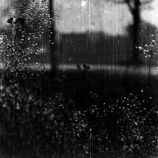 Raindrops falling on a wet window.