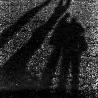 Shadows of two people walking in grassy field.