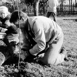 People planting a tree with a dog nearby.